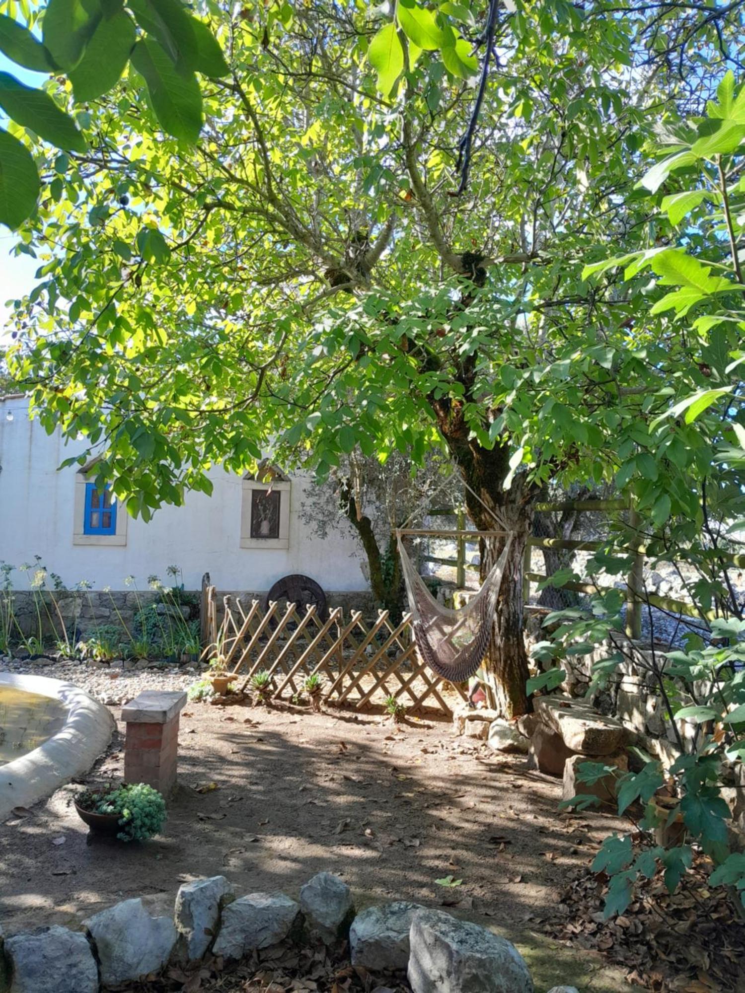 Refugio Das Artes Guesthouse Порту-ди-Мош Экстерьер фото